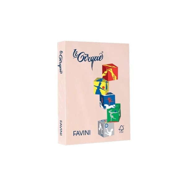 160-103 ΧΑΡΤΙ FAVINI 250Φ Α4 160gr 160-103 ΣΟΜΟΝ ΠΑΣΤΕΛ - Image 1